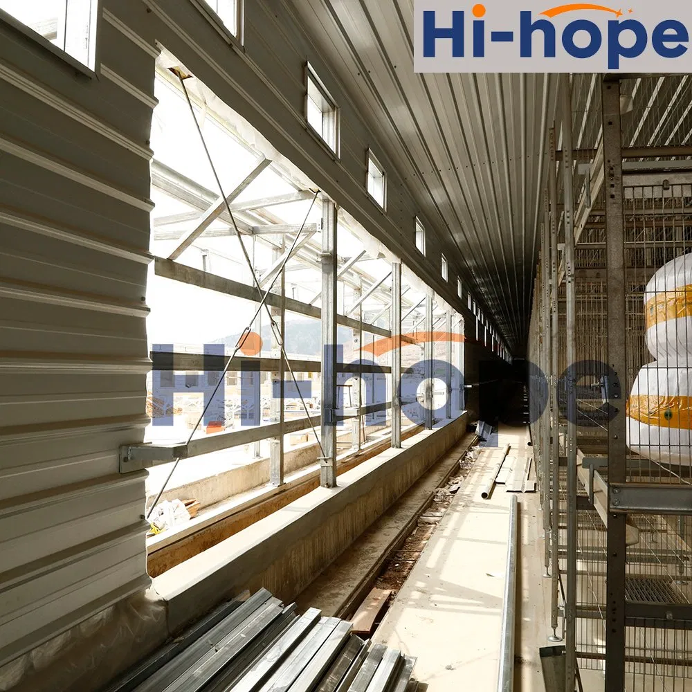 Edificio de granja avícola energéticamente eficiente, producción modular optimizada, ventilación cómoda, baja mortalidad, duradero