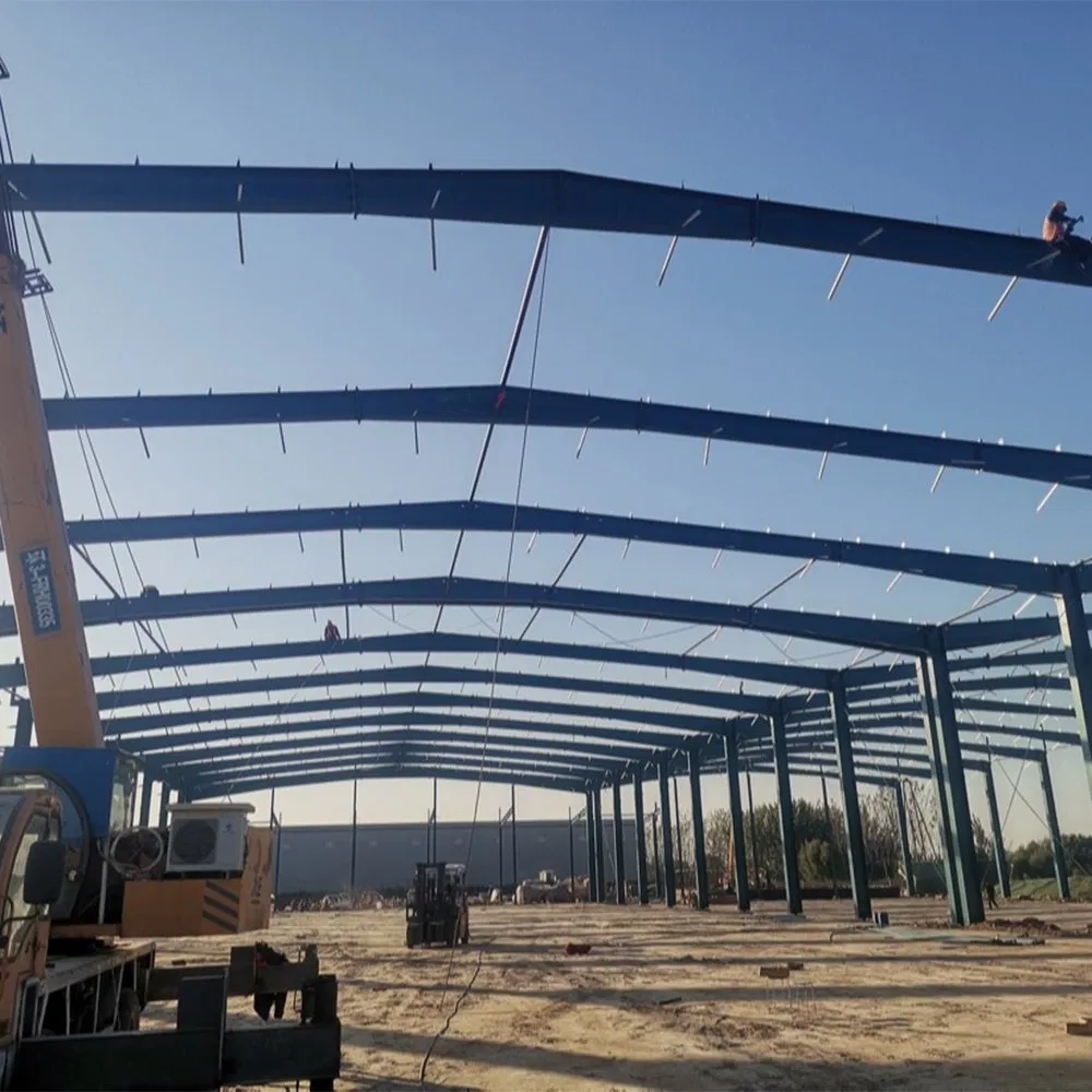 Edificios metálicos baratos aislados modulares personalizados prefabricados de acero general