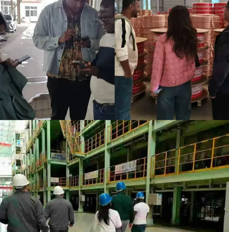 Clientes visitando la fábrica