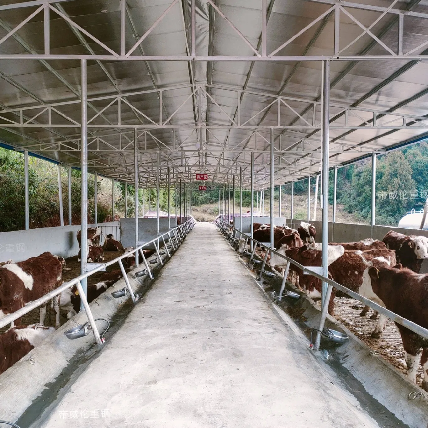 Estructura Modular de Acero Galvanizado Prefabricado para Edificio de Granja Avícola de Gallinas
