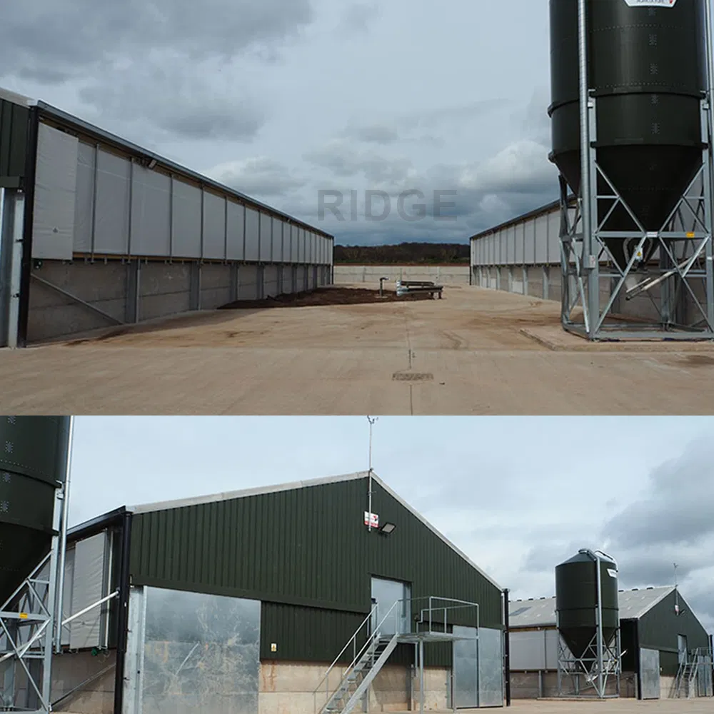 China Pre Fabricado Personalizado Construido Modular General Acero Aislado Edificios Metálicos Baratos Industria Planta