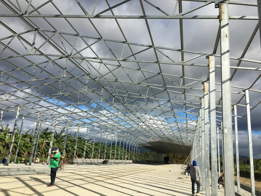 Crecimiento Rápido Granja de Pollos Edificio Modular Producción Optimizada Ventilación Cómoda Iluminación Inteligente Materiales Duraderos