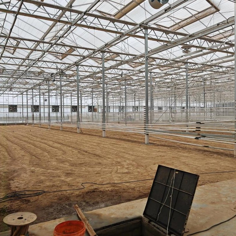 Estructura Modular de Acero Galvanizado Prefabricado para Edificio de Granja Avícola de Gallinas