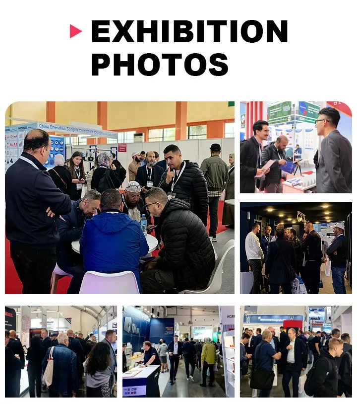 Exhibition Situation