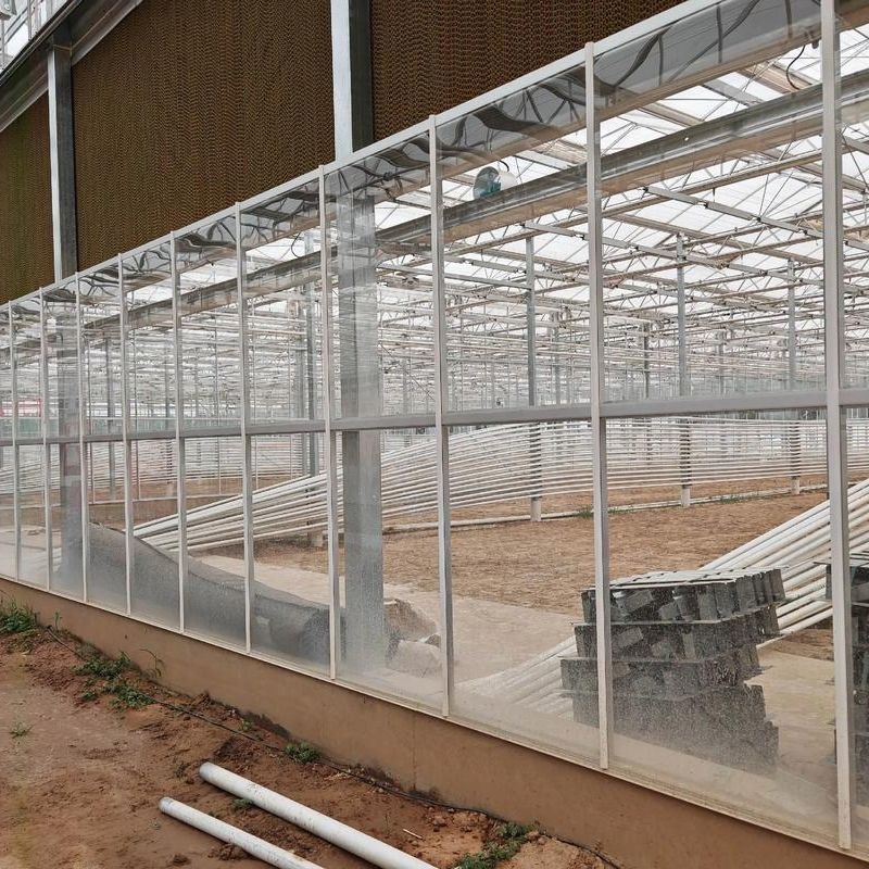 Estructura Modular de Acero Galvanizado Prefabricado para Edificio de Granja Avícola de Gallinas