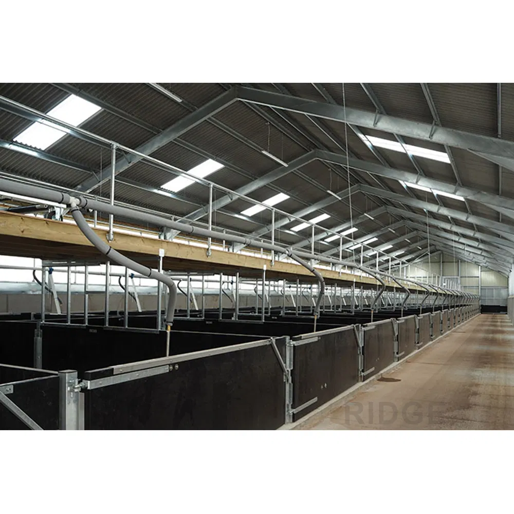 China Pre Fabricado Personalizado Construido Modular General Acero Aislado Edificios Metálicos Baratos Industria Planta