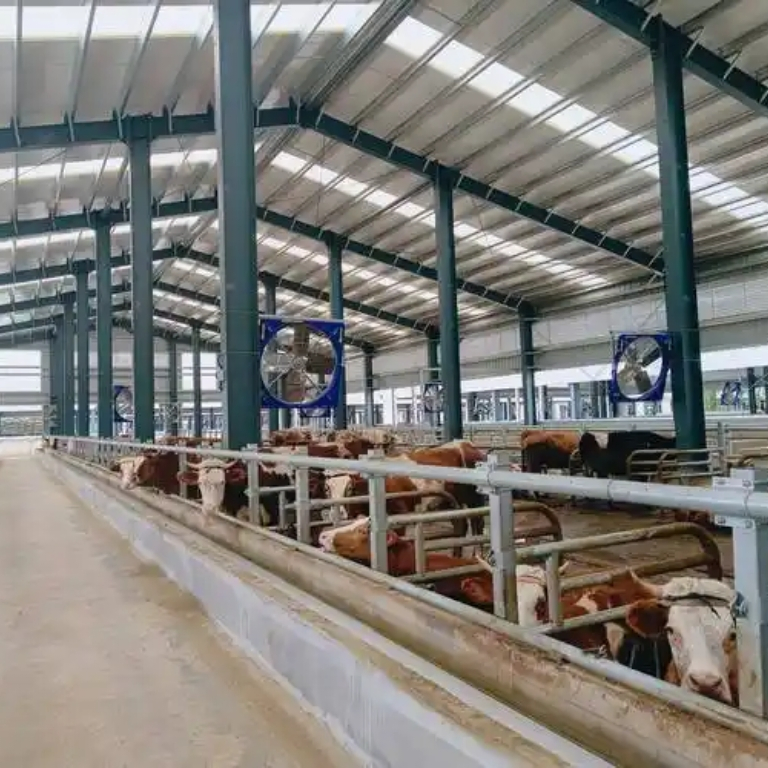 Estructura Modular de Acero Galvanizado Prefabricado para Edificio de Granja Avícola de Gallinas