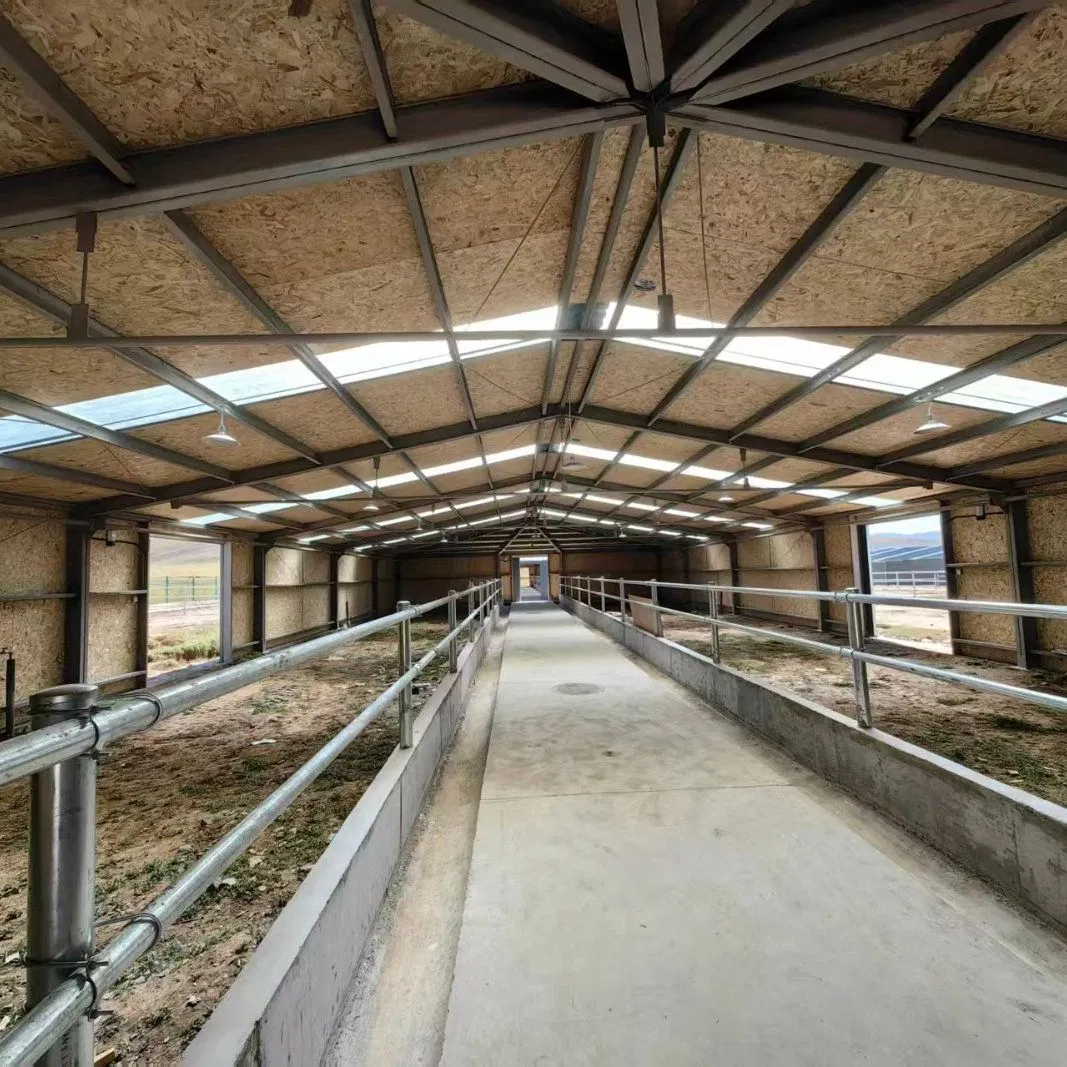 Estructura modular de acero ligero prefabricado para casa de granja avícola