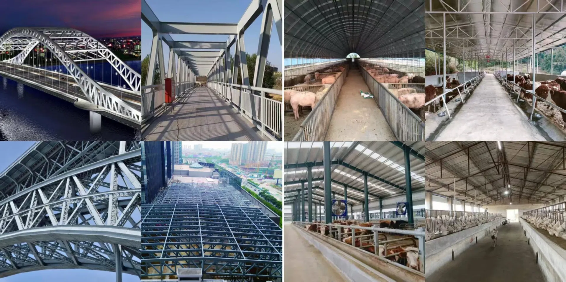 Estructura modular de acero ligero prefabricado para casa de granja avícola