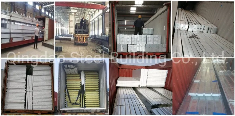 Transporte