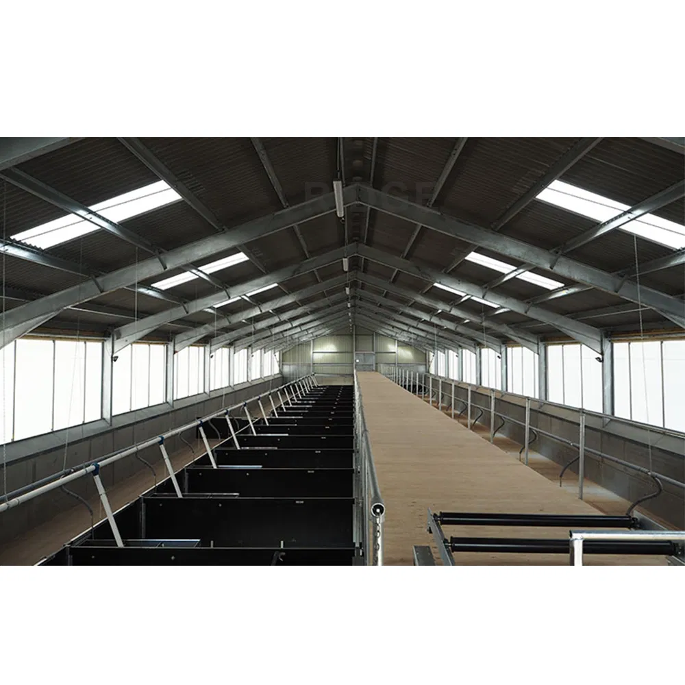 China Pre Fabricado Personalizado Construido Modular General Acero Aislado Edificios Metálicos Baratos Industria Planta