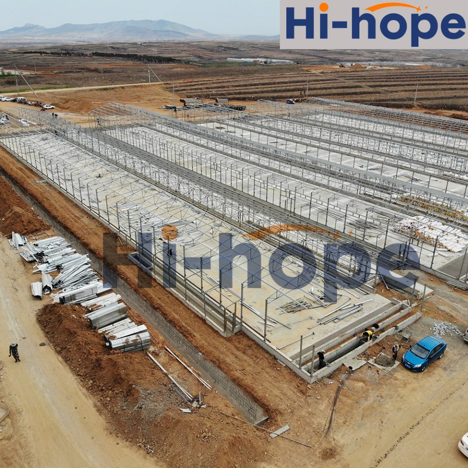 Edificio de granja de pollos cómodo y ventilado, colección de huevos automatizada modular, alta producción, sensores inteligentes, materiales duraderos