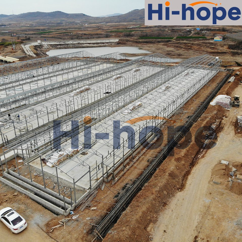 Casa de campo modular premium para criadero de pollos, fabricada en fábrica, atornillada, de rápida instalación, con control climático inteligente, alta producción y eficiente en energía