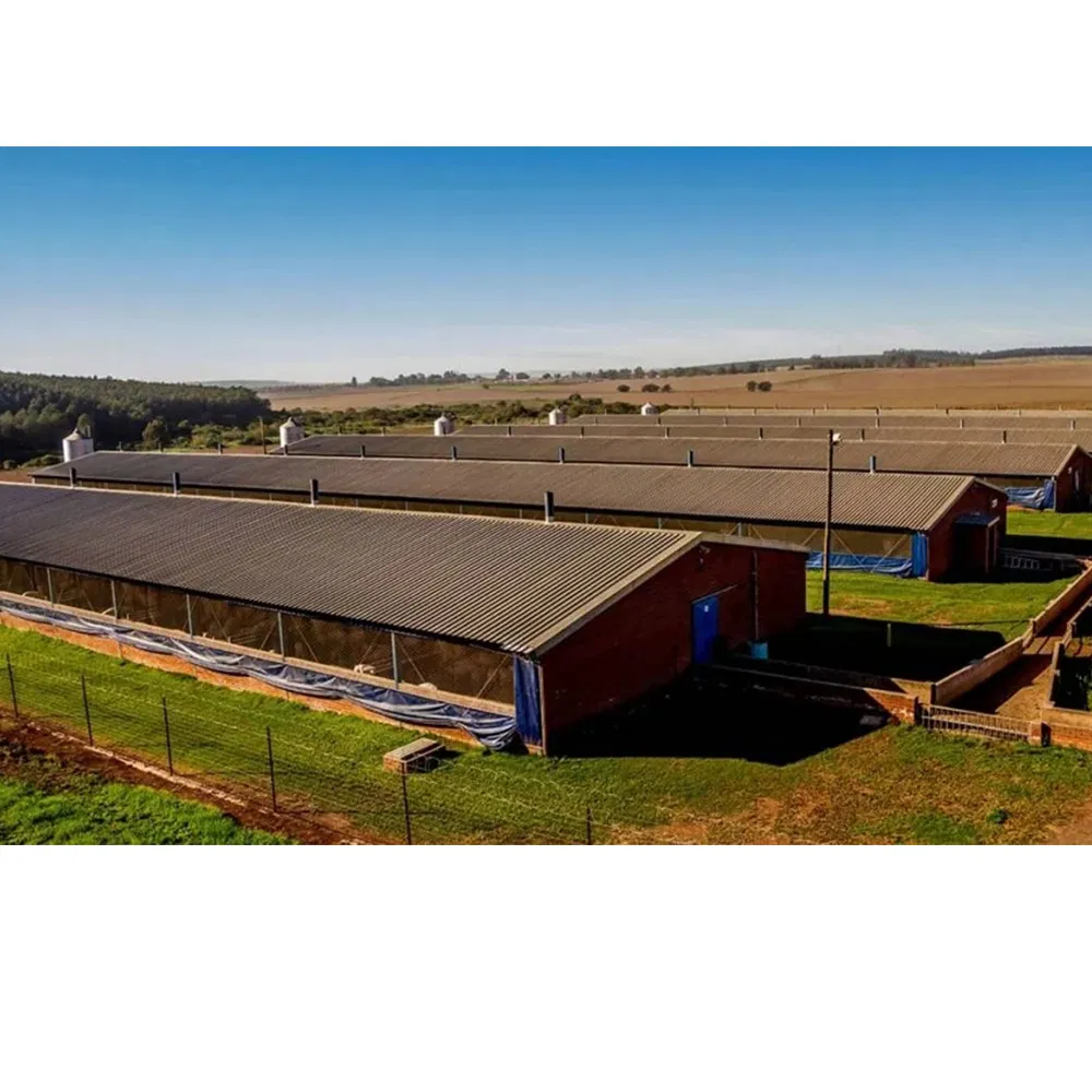China Pre Fabricado Personalizado Construido Modular General Acero Aislado Edificios Metálicos Baratos Industria Planta
