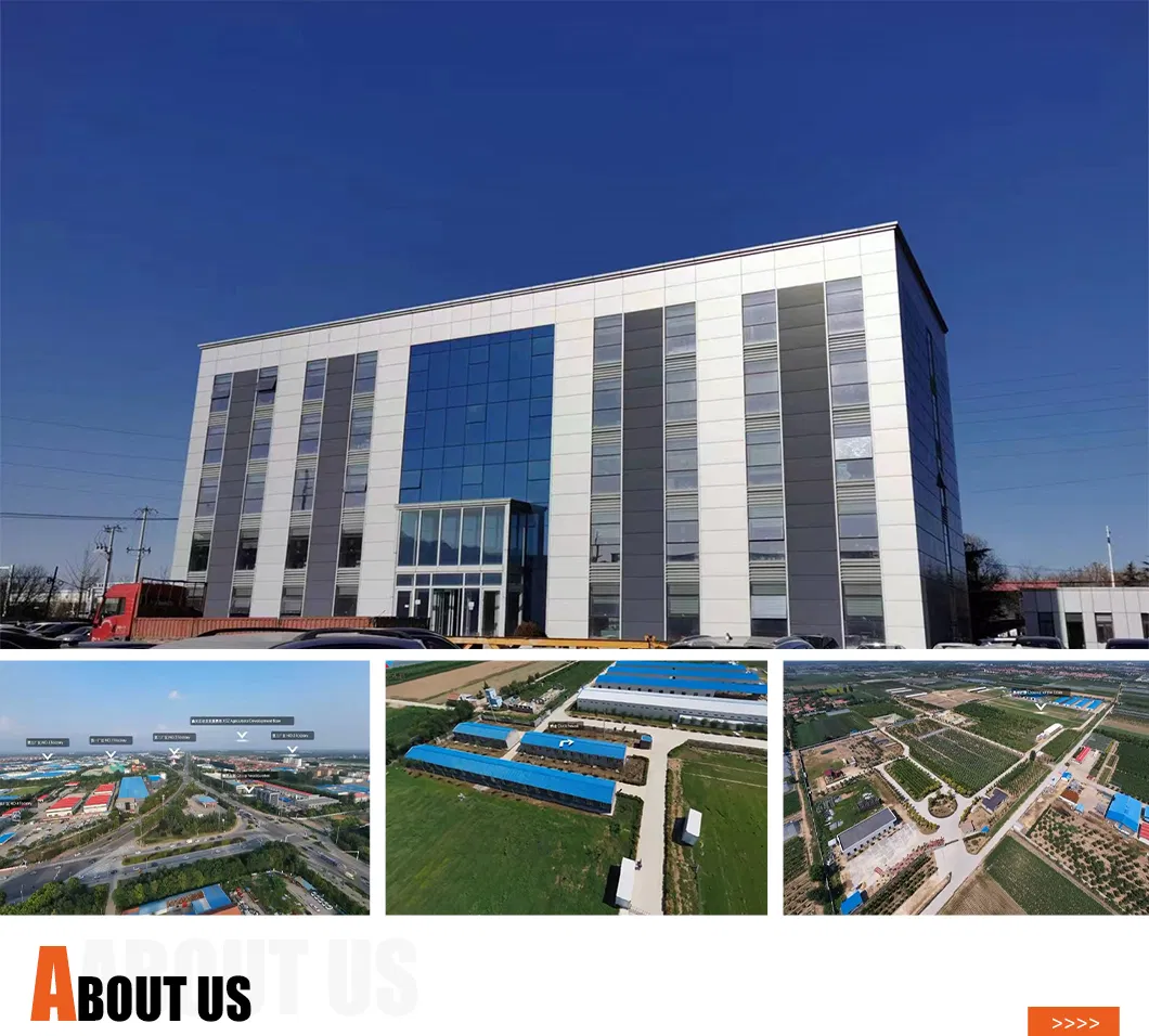 Edificios de oficinas modulares de acero premium para el comercio global