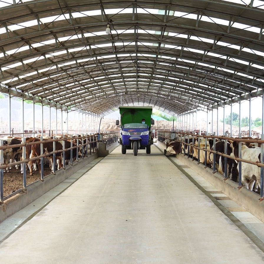 Estructura Modular de Acero Galvanizado Prefabricado para Edificio de Granja Avícola de Gallinas