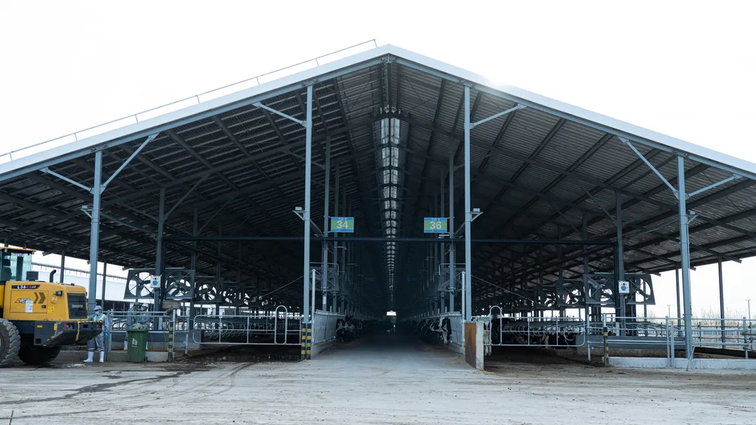 Edificio de acero prefabricado modular industrial barato
