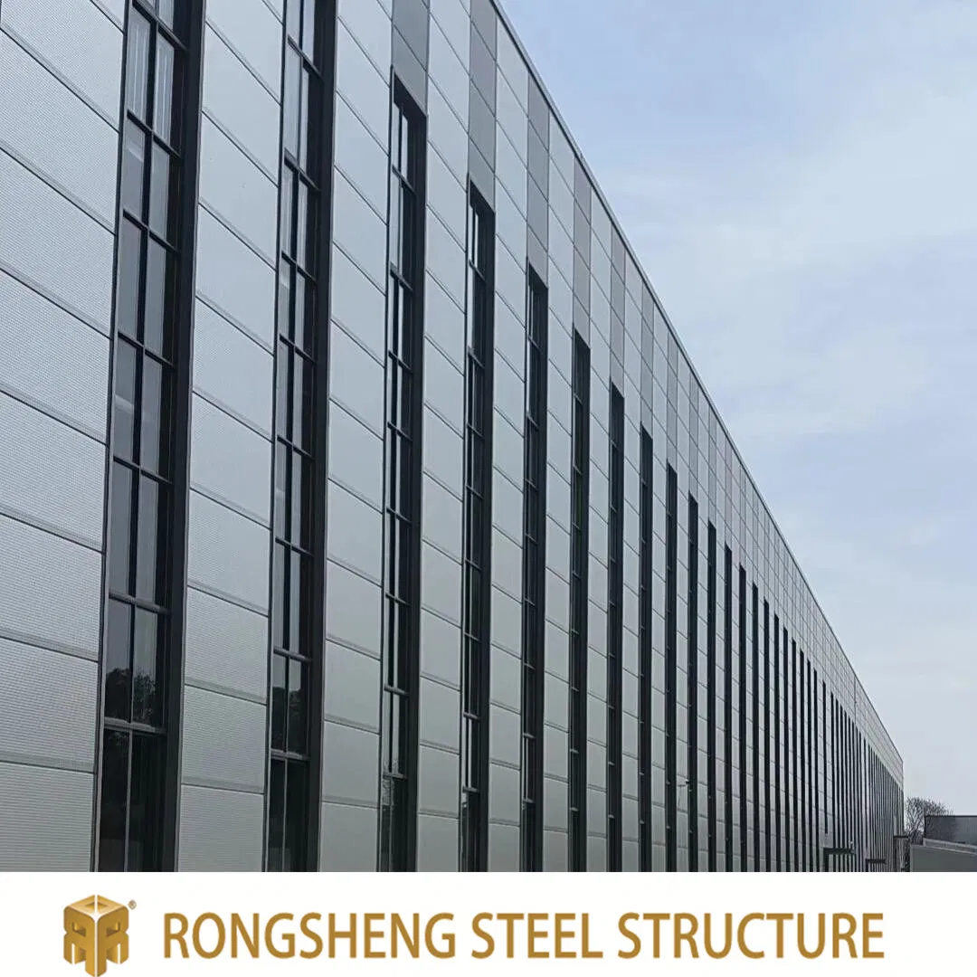 Pintura Galvanizado Personalización Envío Rápido Estructura Modular de Acero de Varios Pisos ODM RS-C9990