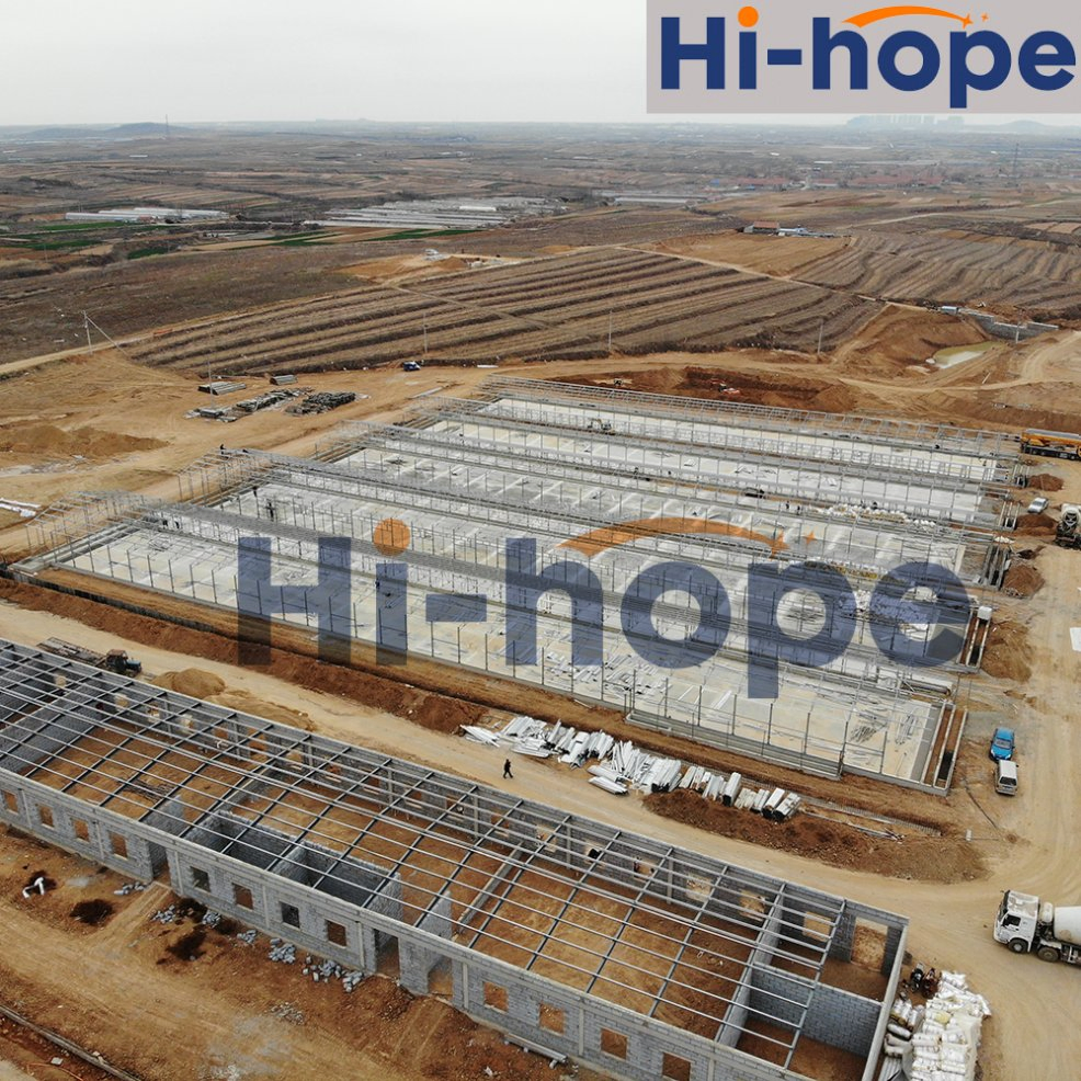 Edificio de granja avícola energéticamente eficiente, producción modular optimizada, ventilación cómoda, baja mortalidad, duradero