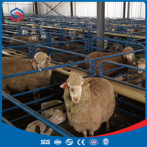Edificios Modulares Sostenibles para Aves de Corral y Ganado