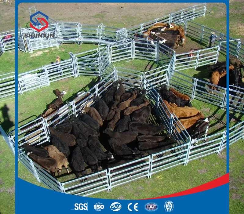 Edificios Modulares Sostenibles para Aves de Corral y Ganado