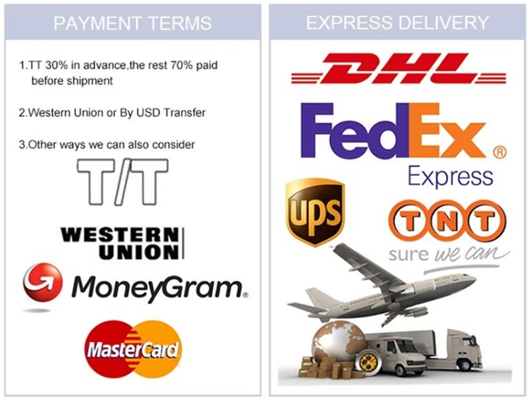 Packaging & Delivery processes image