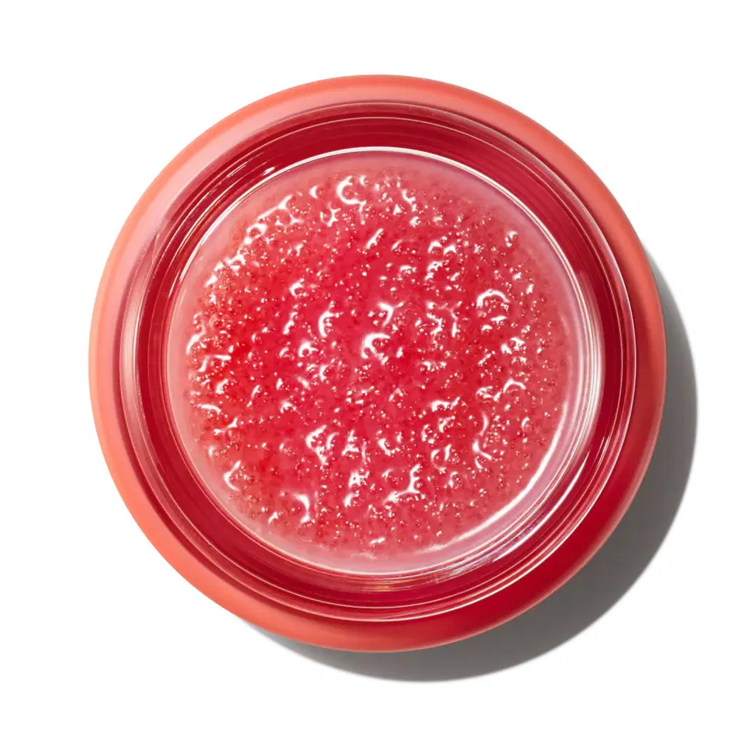 Custom Organic Vitamin a E Exfoliating Hydrating Vegan Lip Scrub Private Label
