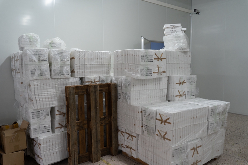 Packing Image 2