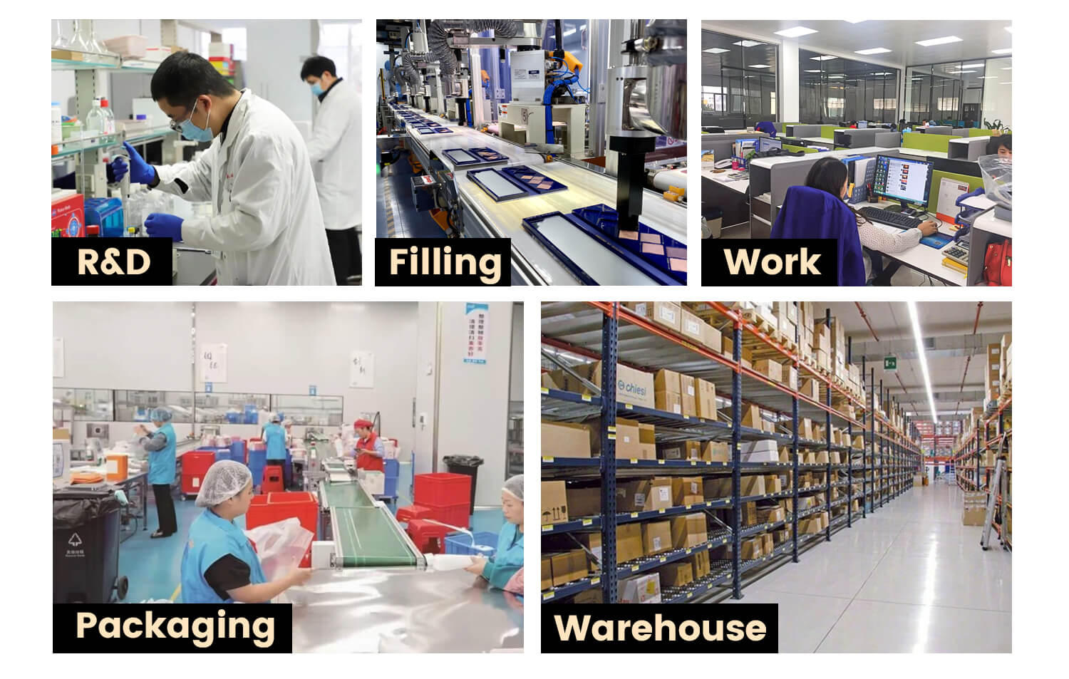 Factory Profile