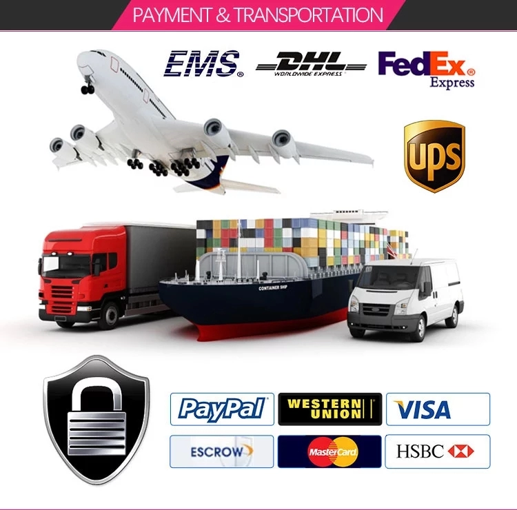 Global Shipping Methods and Process Info