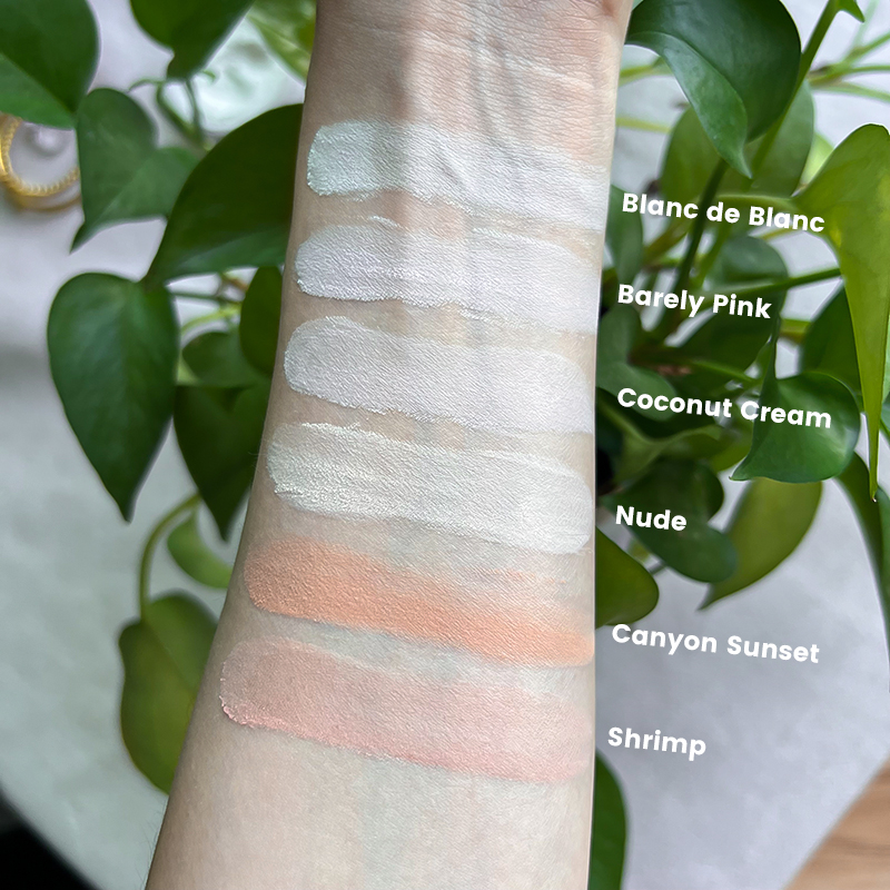 Wholesale Makeup Mirror Chrome Powder Nude Solid Pigment Powder Concealer Lasting Makeup Setting Powder