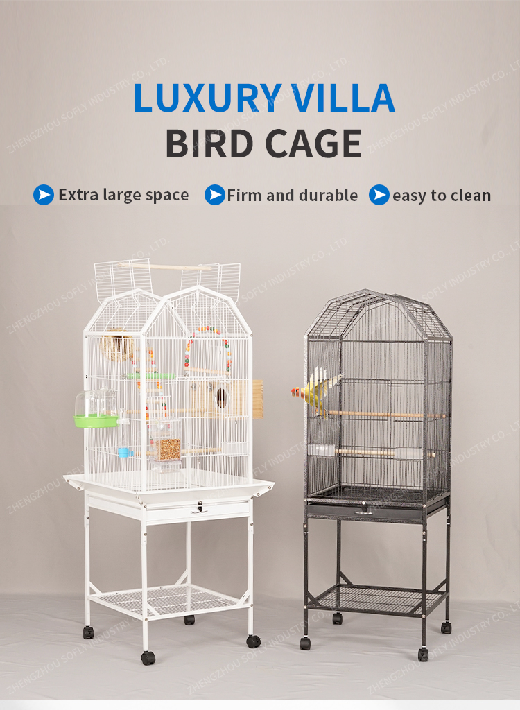 Pet Supply Product