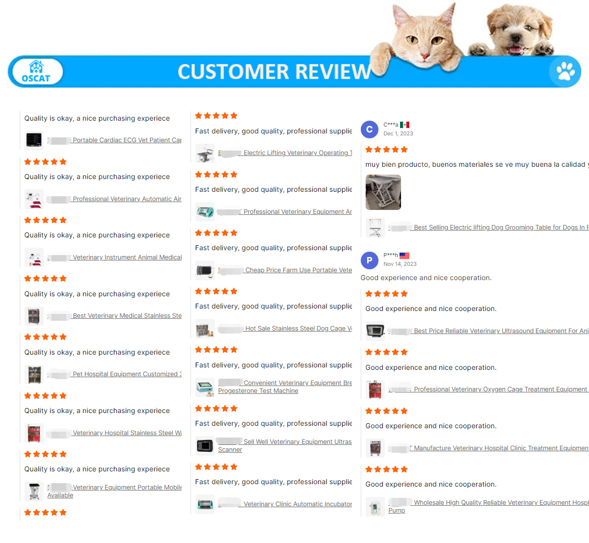 Company Overview 3