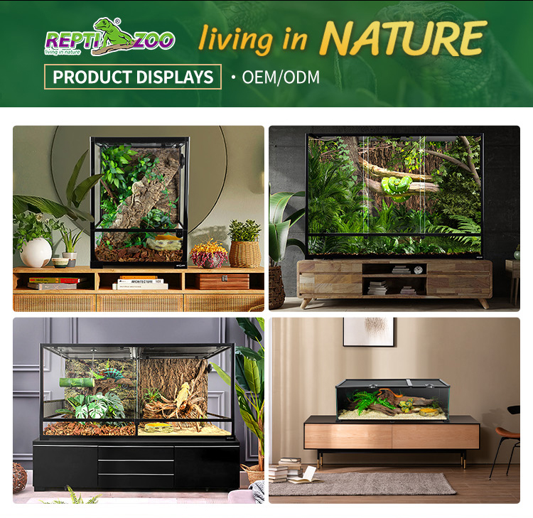 Features Display