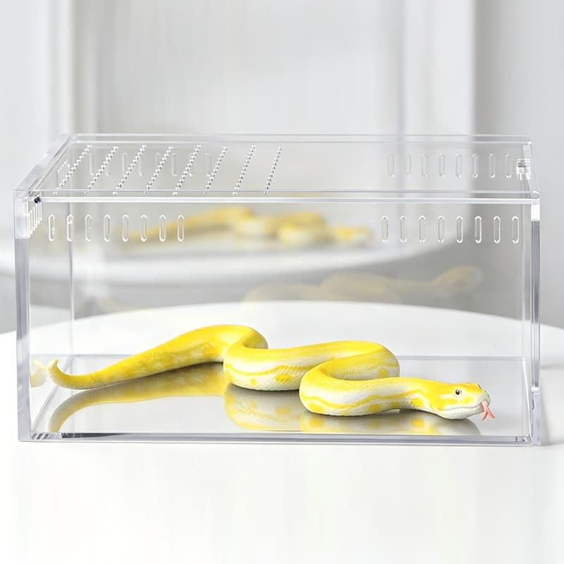 Luxury Clear Acrylic Reptile Terrarium Breeding Display Box Custom Transparent Insect Habitat For Spider Lizard Snake Pet