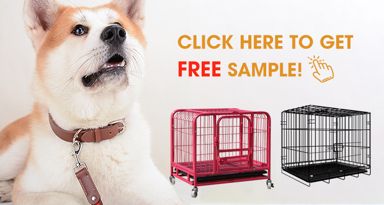 Pet Carrier Display 1