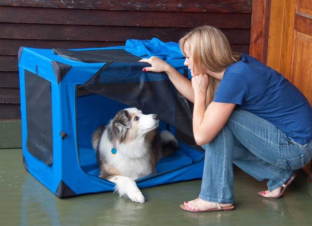 Soft Easy to Fold Foldable Comfy Dog Travel Crate Dog Carrier Carry Dog Crate Washable Fabric Cover for Indoor & Outdoor Use