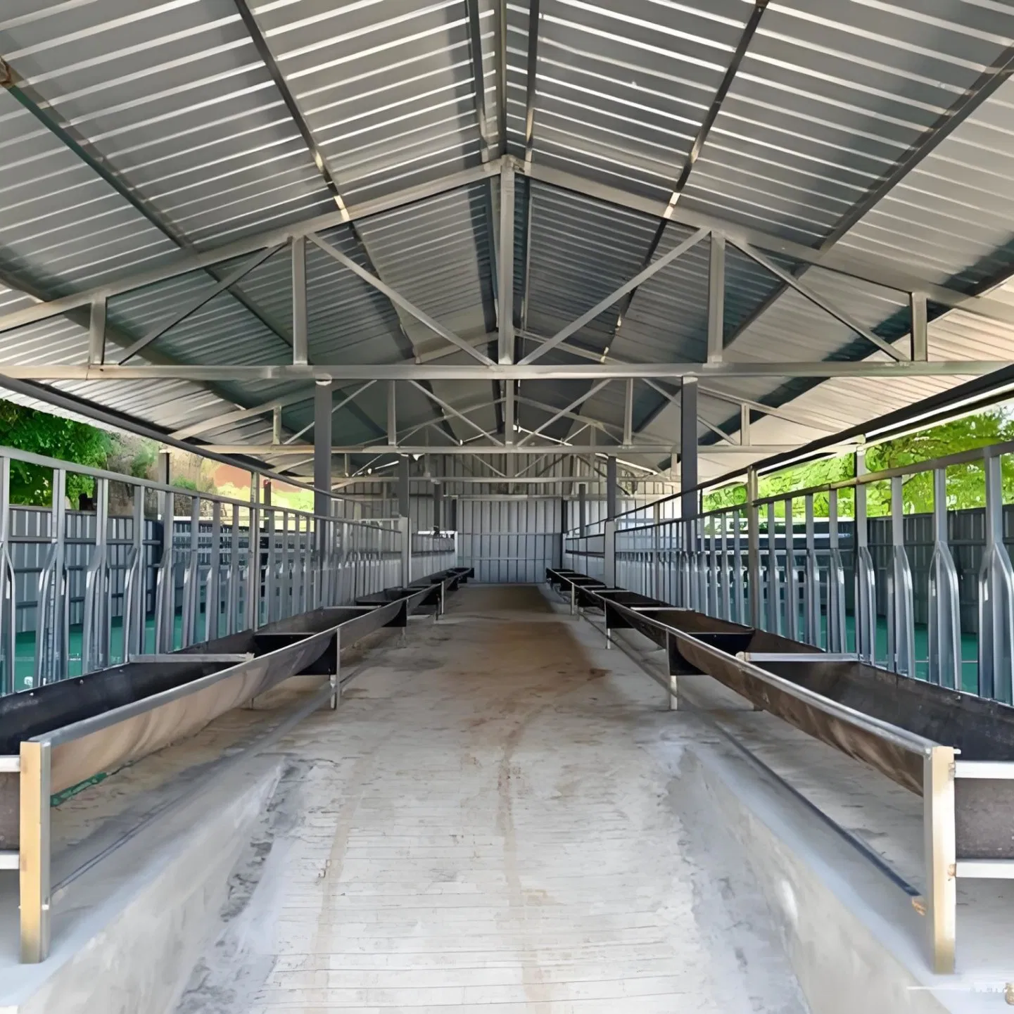 Online One-on-One Solution Bolt Connection Ventilated Cattle Housing Design Structure