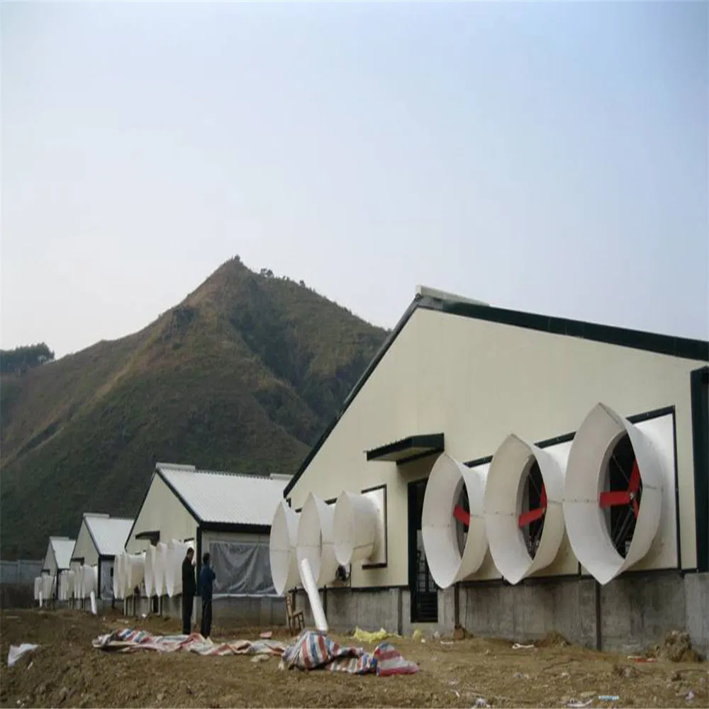 Turnkey Steel Structure Poultry and Livestock Housing Solutions From Professional Manufacturer Supplier