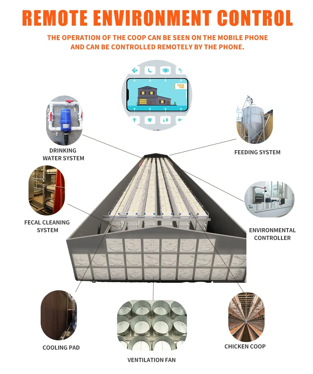 Broiler Cage System View 3