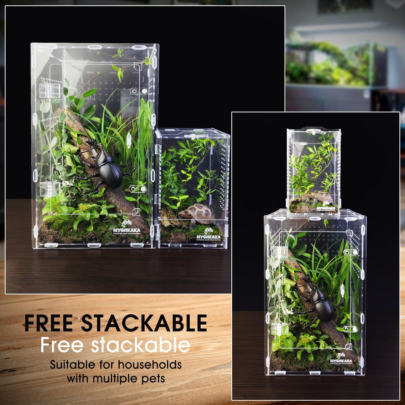 Acrylic Rectangle Rainforest Reptile Enclosure Spider Mantis Terrarium Breeding Box Pet Habitat Decoration Landscaping Special