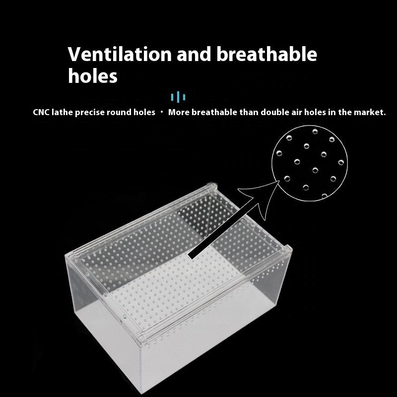 Clear Acrylic Reptile Breeding Box with Removable Lid and Ventilation Holes, Transparent Pet Insect Spider Enclosure