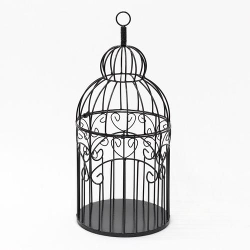 Bird Cage Showcase 3