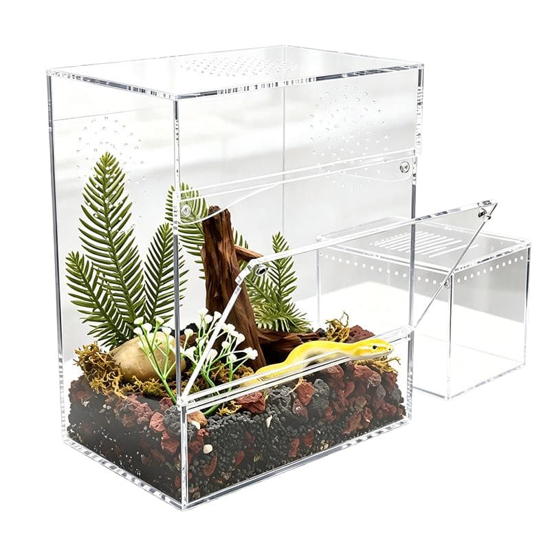 Luxury Clear Acrylic Reptile Terrarium Breeding Display Box Custom Transparent Insect Habitat For Spider Lizard Snake Pet