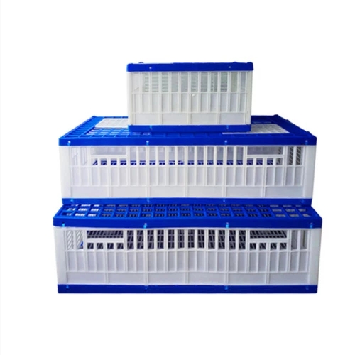Pigeon Cage Image 1