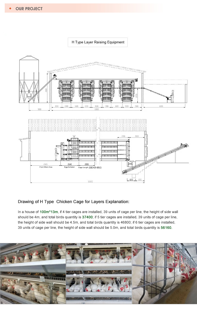 Packaging Detail Image 4