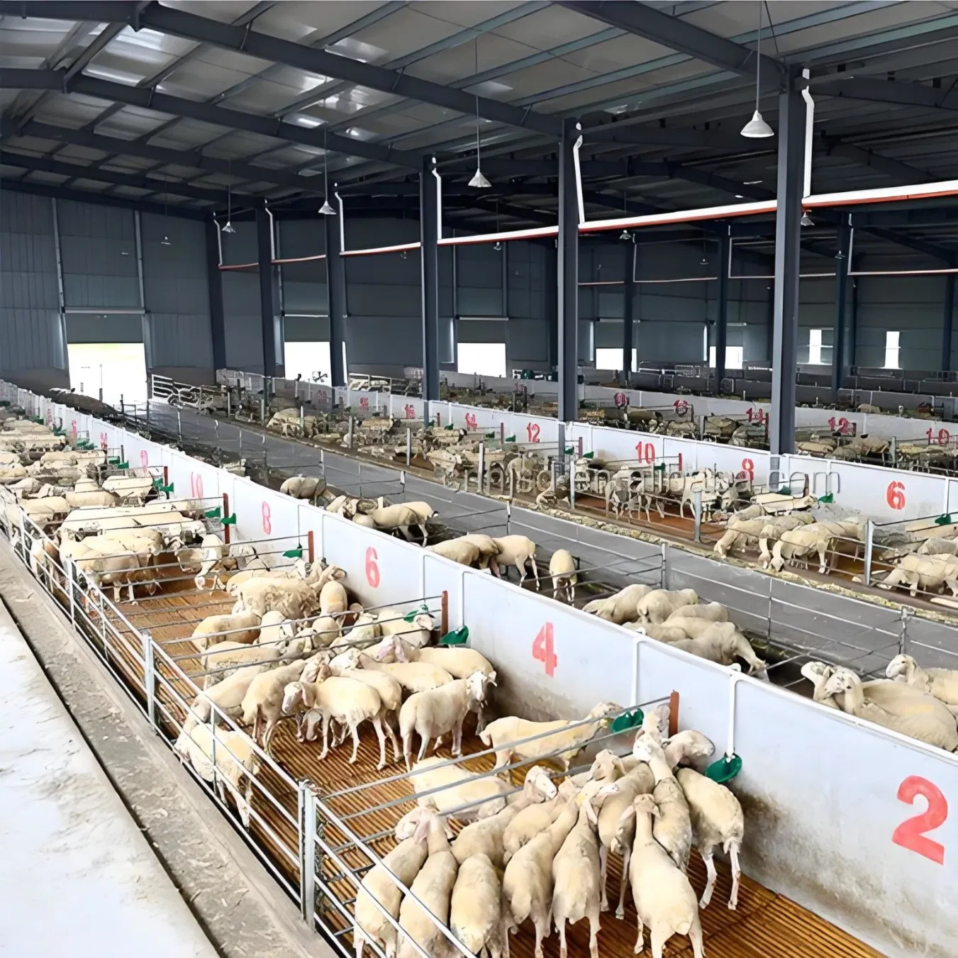 Online One-on-One Solution Bolt Connection Ventilated Cattle Housing Design Structure