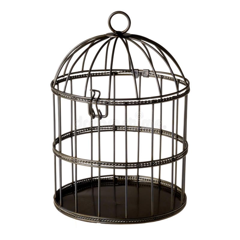 Iron Bird Cage With Removable Bottom Tray And Easy Access Doors Simplifying Cleaning And Maintenance Process