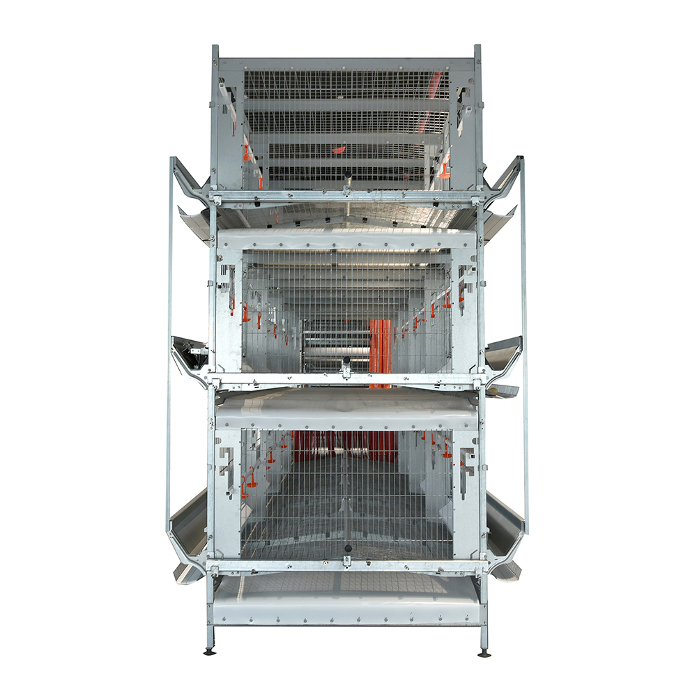 Poultry Breeder Cage System With Adjustable Three Level Water Line For Commercial Breeding Operations