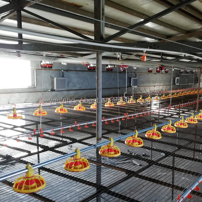 Advanced Design Complete Controlled Poultry Shed Farm Building Prefabricated Housing Steel Structure